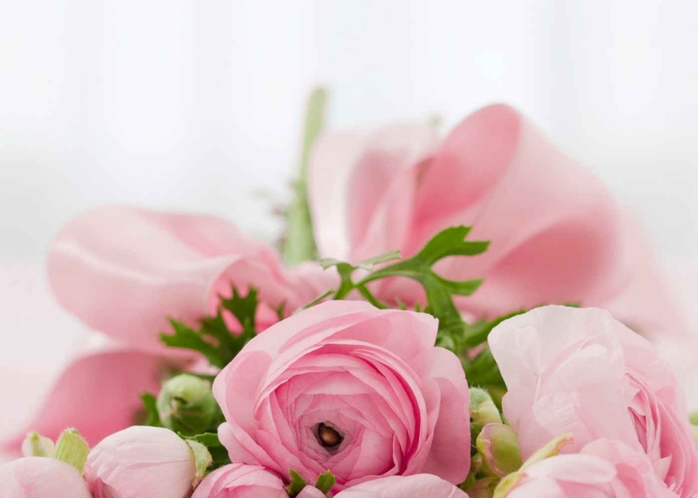 Yeni Blog Yazısı 1